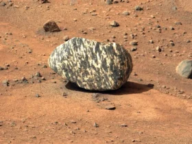 Mars Gets Fashion-Forward: NASA Discovers Rock Wearing Latest Zebra Print Trend