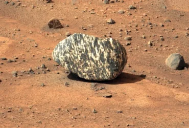 Mars Gets Fashion-Forward: NASA Discovers Rock Wearing Latest Zebra Print Trend